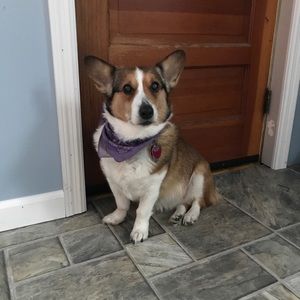 Meet your Posher, Mia